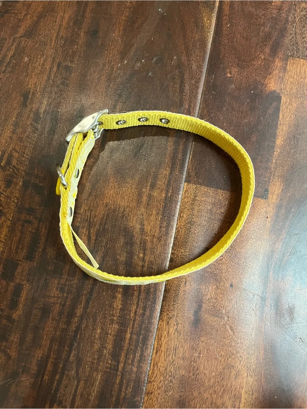 Yellow Lemon Print Adjustable Dog Collar